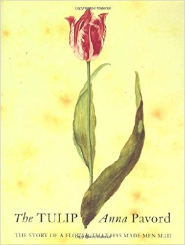 The Tulip by Anna Pavord