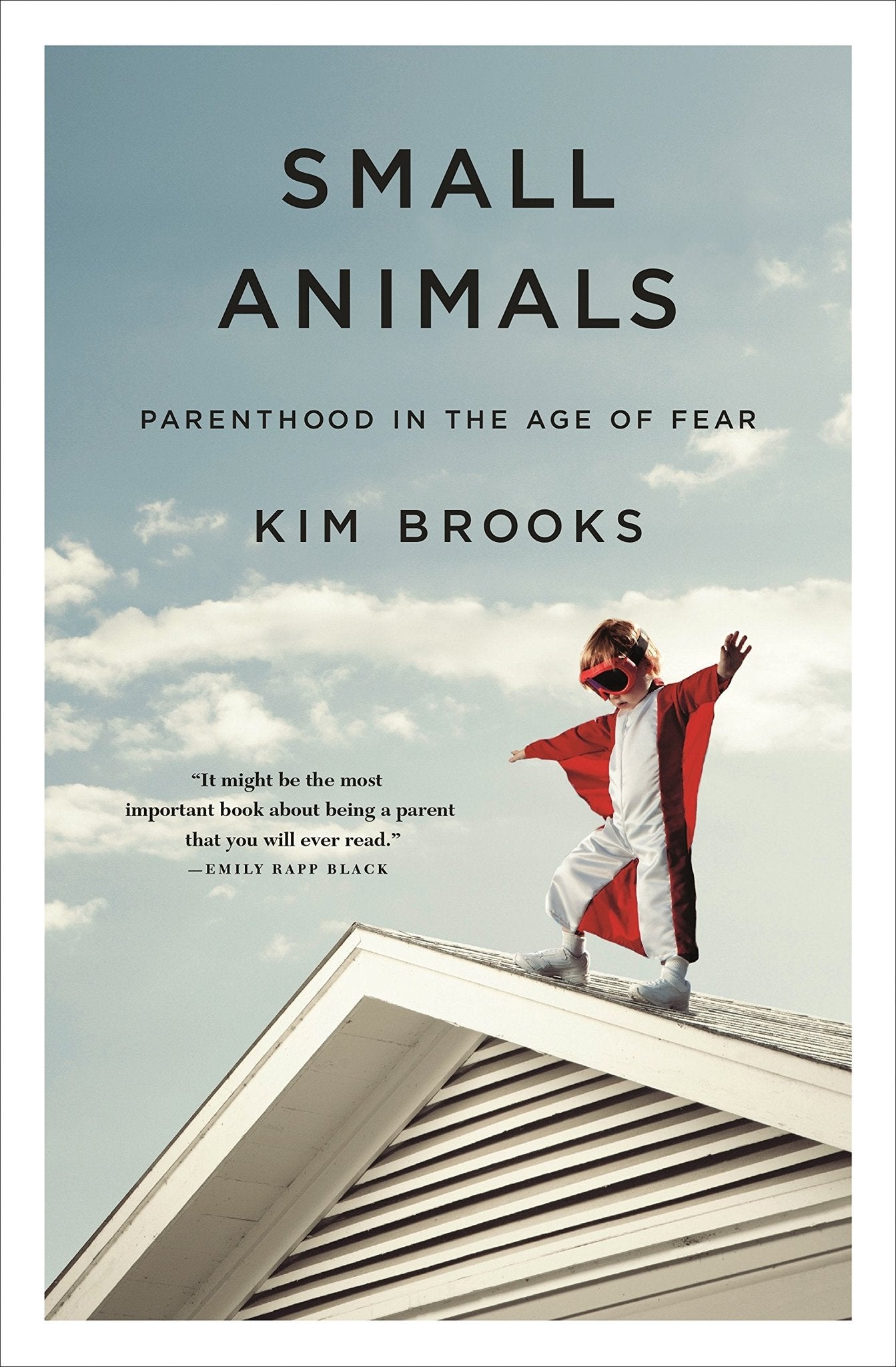 Small Animals by Kim Brooks